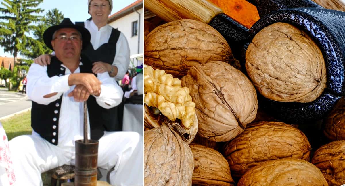 U subotu ste svi pozvani u Orehovicu na Orehijadu 2021. U subotu ste svi pozvani u Orehovicu na Orehijadu 2021.