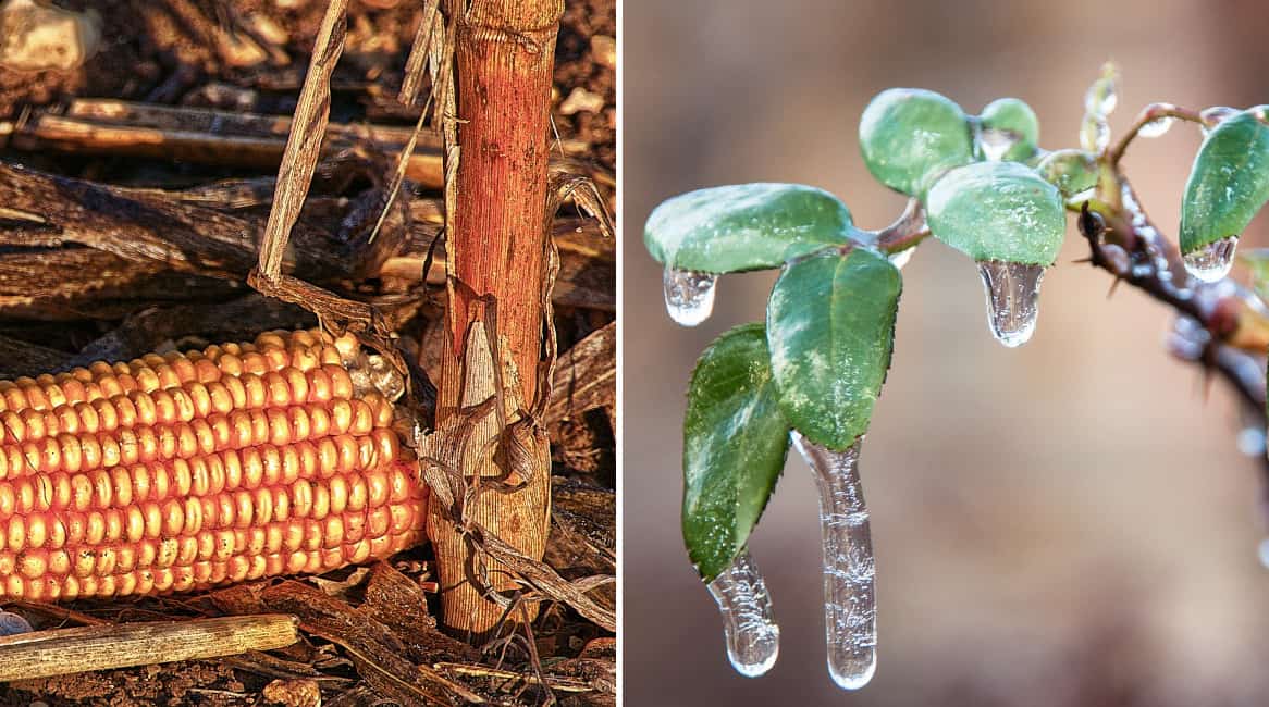 Zaštitite se od prirodnih nepogoda Zaštitite se od prirodnih nepogoda